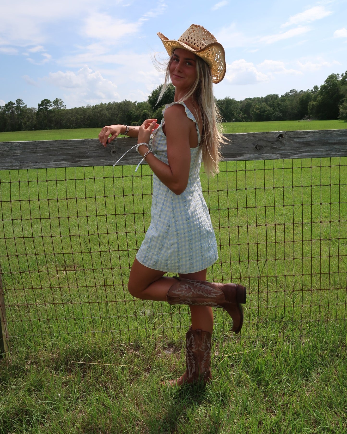 Sweet Meadow Mini Dress
